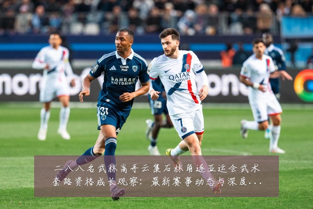 二八八名武林高手云集石林角逐亚运会武术套路资格成长观察:最新赛事动态与深度分析