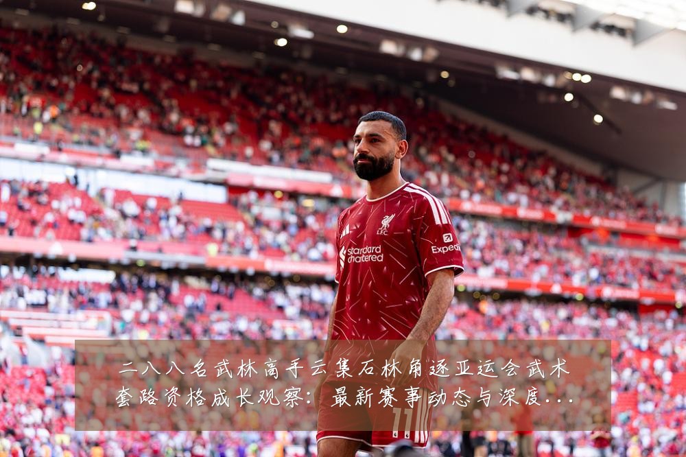二八八名武林高手云集石林角逐亚运会武术套路资格成长观察:最新赛事动态与深度分析